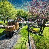Le ValleyPass permet par exemple d'entrer au Swiss Vapeur Parc au Bouveret